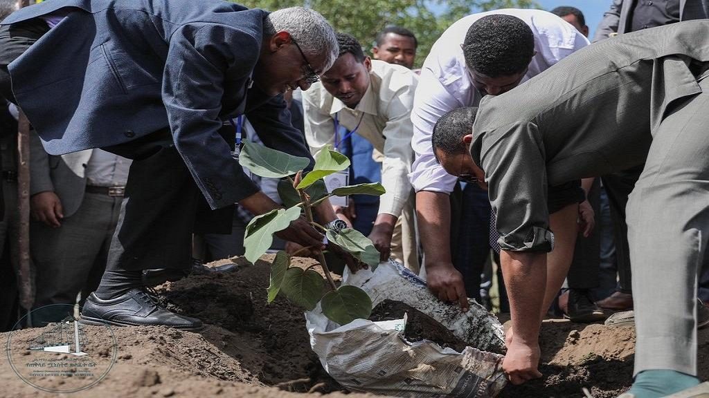 Ethiopia PM launches 4 billion tree planting project (Photos)